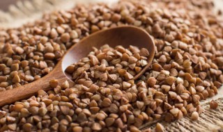 荞麦和全麦哪个热量高 全麦和荞麦哪个热量低适合减肥