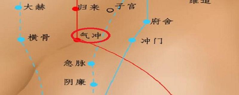 气冲的准确位置怎么找(气冲准确位置怎么取)