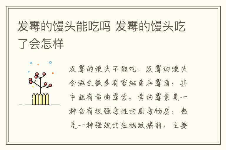 发霉的馒头能吃吗 发霉的馒头吃了会怎样-九图集
