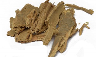 椿皮的营养价值（椿皮的功效与作用及食用方法）