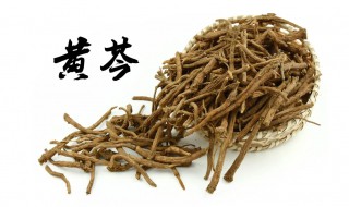 黄芩能不能直接泡水喝（黄芩直接泡开水喝有啥功效）