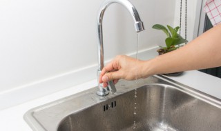 盆栽番茄需要如何浇水 番茄移栽后如何浇水-九图集