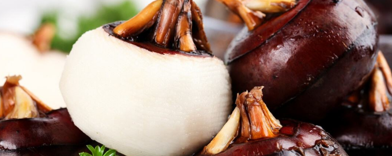 水果马蹄又叫什么（水果马蹄又叫什么名字）-九图集