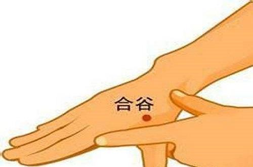 合谷的作用和功效(针灸合谷的作用和功效)