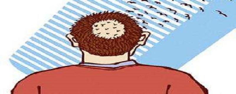 斑秃艾灸哪里（斑秃可以艾灸哪里）-九图集