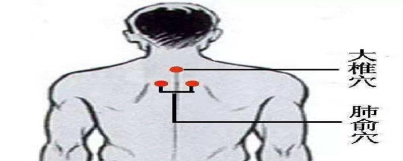 按摩肺俞的作用（肺俞的按摩手法）-九图集