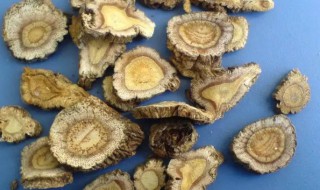 山豆根的营养价值（山豆根根的功效与作用）