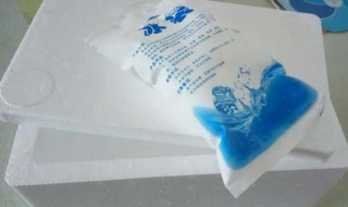 冰袋放泡沫箱48小时可以吗 泡沫箱内冰袋能坚持多久-九图集