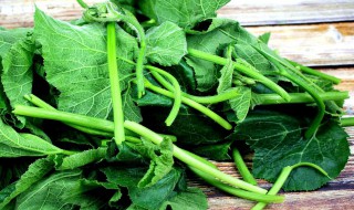 南瓜叶有什么功效啊(南瓜叶的吃法和功效)