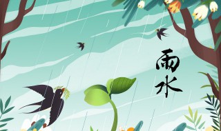 雨水节气后是哪个节气(雨水之后是什么节气)