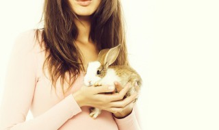 如何给兔子清洗爪子（怎么给兔子擦爪子）