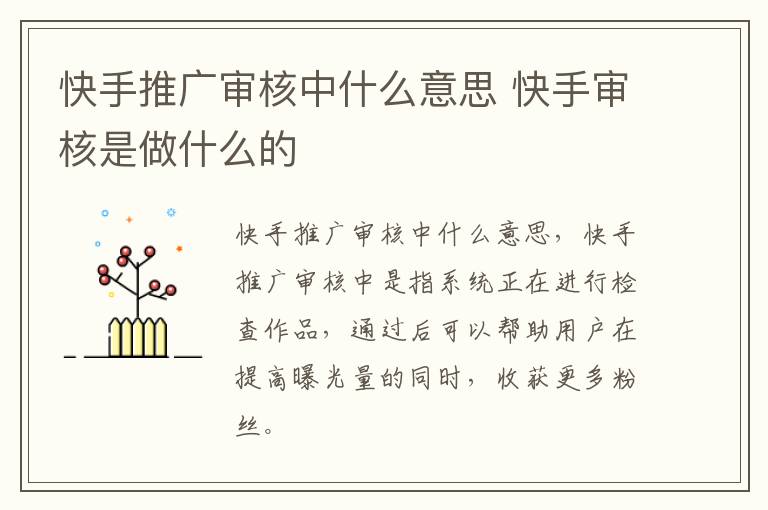 快手推广审核中什么意思 快手审核是做什么的-九图集