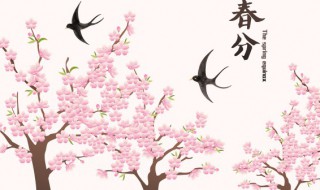 哪个节气开始白天变长 什么节气开始白天长