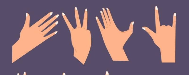 手势更要做到哪三个一致（手势运用的三个原则）-九图集