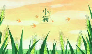 小满节气养生常识（大寒节气饮食养生）