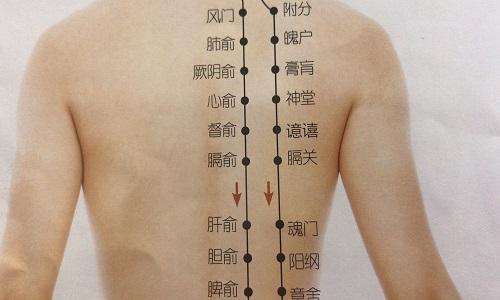 督俞的准确位置图作用(督俞的位置和功效)