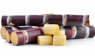 甘蔗吃了容易长胖吗 吃甘蔗是不是容易长胖-九图集