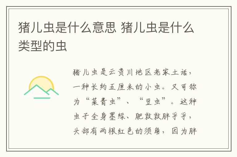 猪儿虫是什么意思 猪儿虫是什么类型的虫