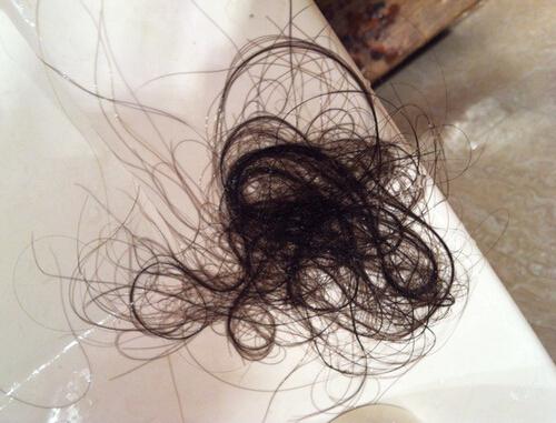 满屋子都是头发（满屋都是掉的头发）