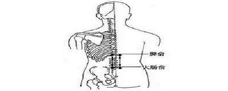 脾俞的简易找法 快速找脾俞-九图集