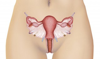 为什么得盆腔炎 处女为什么得盆腔炎