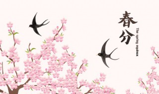 春分节气饮食养生 春分节气食谱