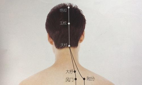 络却的准确位置图 络却的准确位置图作用-九图集