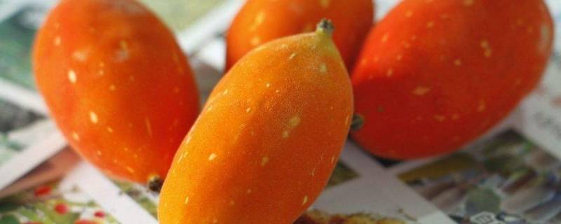 红参果是什么东西 红参果的功效