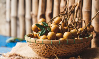 桂圆减肥期间可以吃吗 桂圆减肥可以吃吗?-九图集