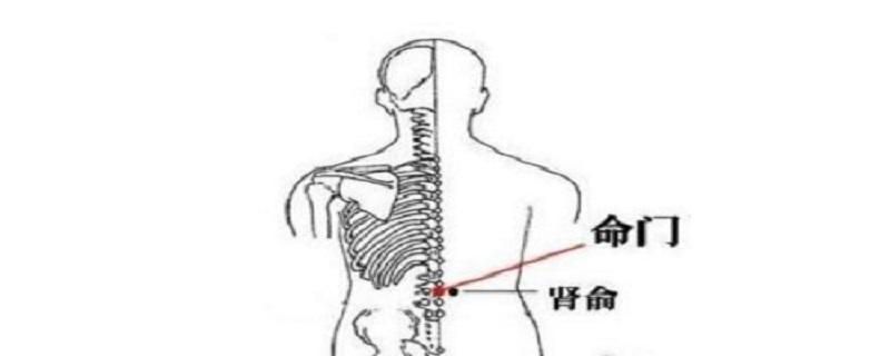 按摩命门最好的方法（经常按摩命门的好处）-九图集