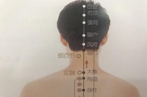 后顶的功效与作用 前顶的功效和作用