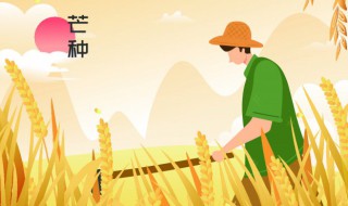 芒种起居养生注意事项 芒种养生小常识-九图集