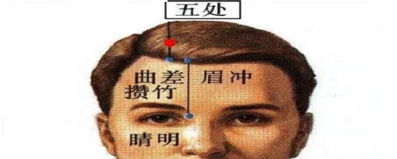 五处的准确位置视频(五处的准确位置图和作用视频)