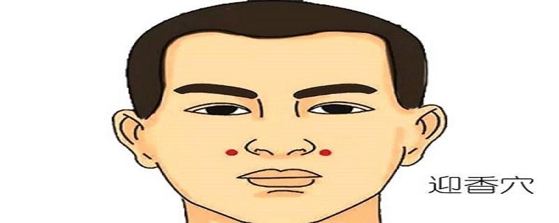 迎香的准确位置图视频(迎香和上迎香的准确位置图片)