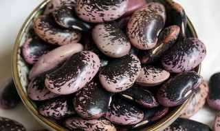 肾豆的功效与作用 肾豆的功效与作用图片