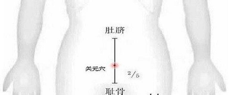关元的准确位置图（关元的准确位置图图）