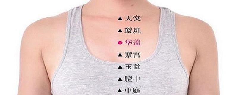 华盖定位和主治 华盖的准确位置图作用功效