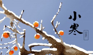 冬至后还有什么节气(冬至节气之后是什么节气)