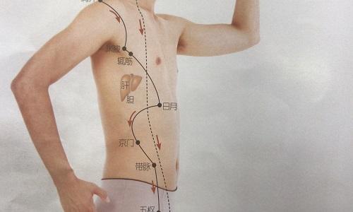 日月的准确位置图片(期门和日月的准确位置图片)