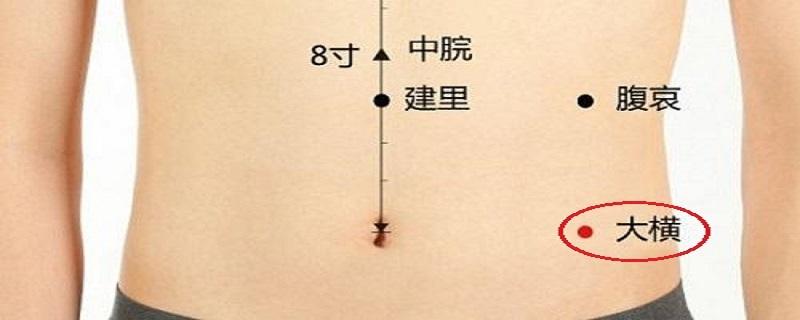 大横的位置图和作用（大横的准确位置图和作用）