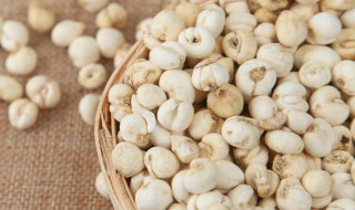 平贝母的营养价值(平贝母的作用)