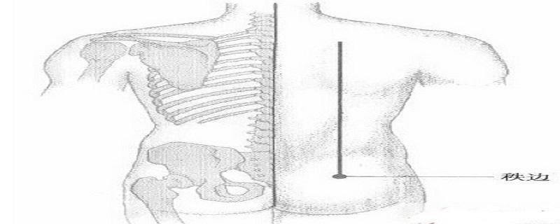 秩边的简易取法（秩边的简易取法进针深度）