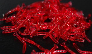 如何快速清洗红虫 红虫怎么淘洗