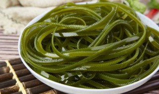 白萝卜和海带可不可以一起吃（海带与白萝卜能一起吃吗）-九图集