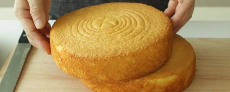 蛋糕胚是什么 蛋糕胚是什么意思-九图集