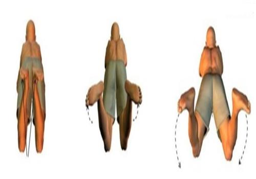 蛙泳蹬腿时发力技巧 蛙泳蹬腿时发力技巧图解视频