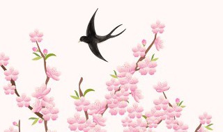 春分节气的饮食特点是什么 春分节气的相关知识-九图集