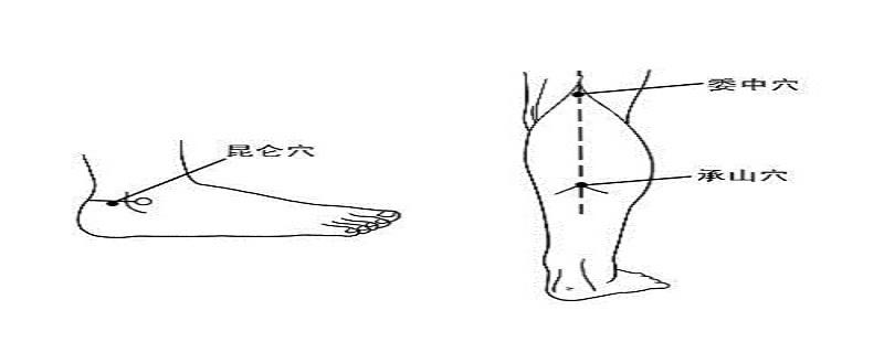 委中针刺方法 委中针刺手法视频-九图集