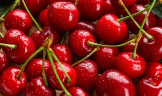 吃车厘子拉肚子是什么原因（为什么吃车厘子会拉肚）