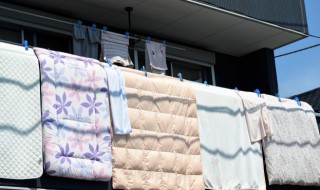 羊毛被能在太阳底下晒吗 羊毛被可以大太阳晒吗-九图集